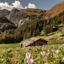 Typische Walliser Stadel in einer grünen Wiese. Im Hintergrund ist der Matterhorn Express zu sehen  | © Christian Pfammatter