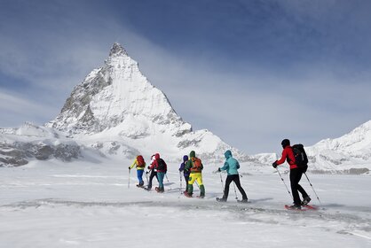 Eine Gruppe von Schneeschuhläufer unterwegs auf dem Trail, im Hintergrund das Matterhorn | © Michi_Portmann