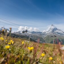 Die Kombibahn verkehrt zwischen Sunnegga und Blauherd und im Hintergrund ist das Matterhorn zu sehen. | © Christian Pfammatter